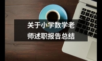 关于关于小学数学老师述职报告总结